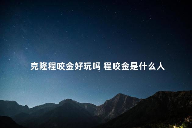 克隆程咬金好玩吗 程咬金是什么人